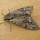 Attack of the giant grey moth